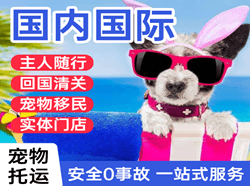 青岛胶东机场物流国际宠物托运 【国